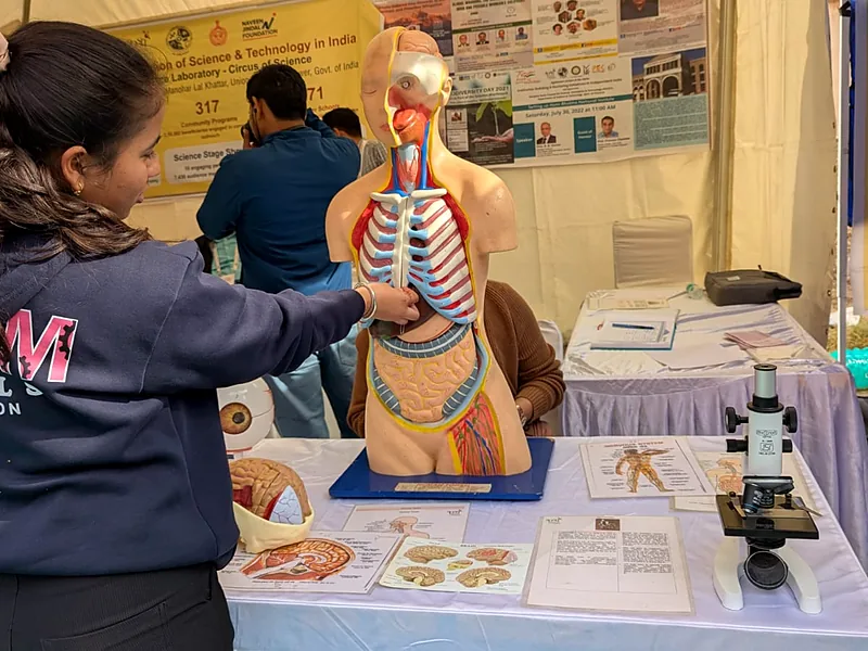 A student examining an anatomical model beside a microscope