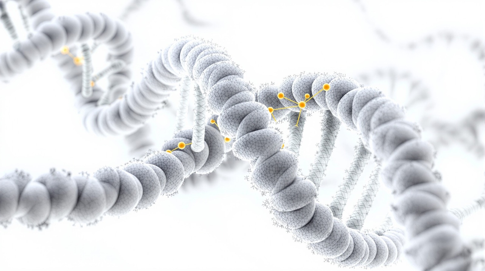White sculptural render of a DNA helix with small orange molecular models