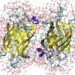 protein-simulation