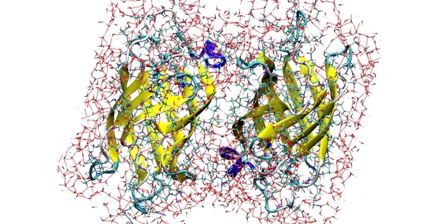 protein-simulation