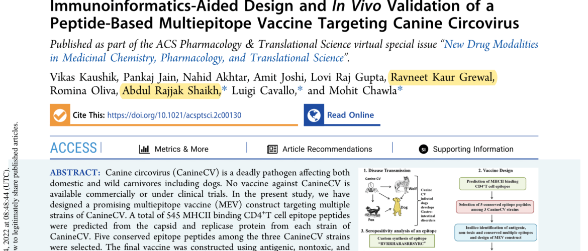 Immunoinformatics-Aided Design and In Vivo Validation of a Peptide-Based Multiepitope Vaccine Targeting Canine Circovirus