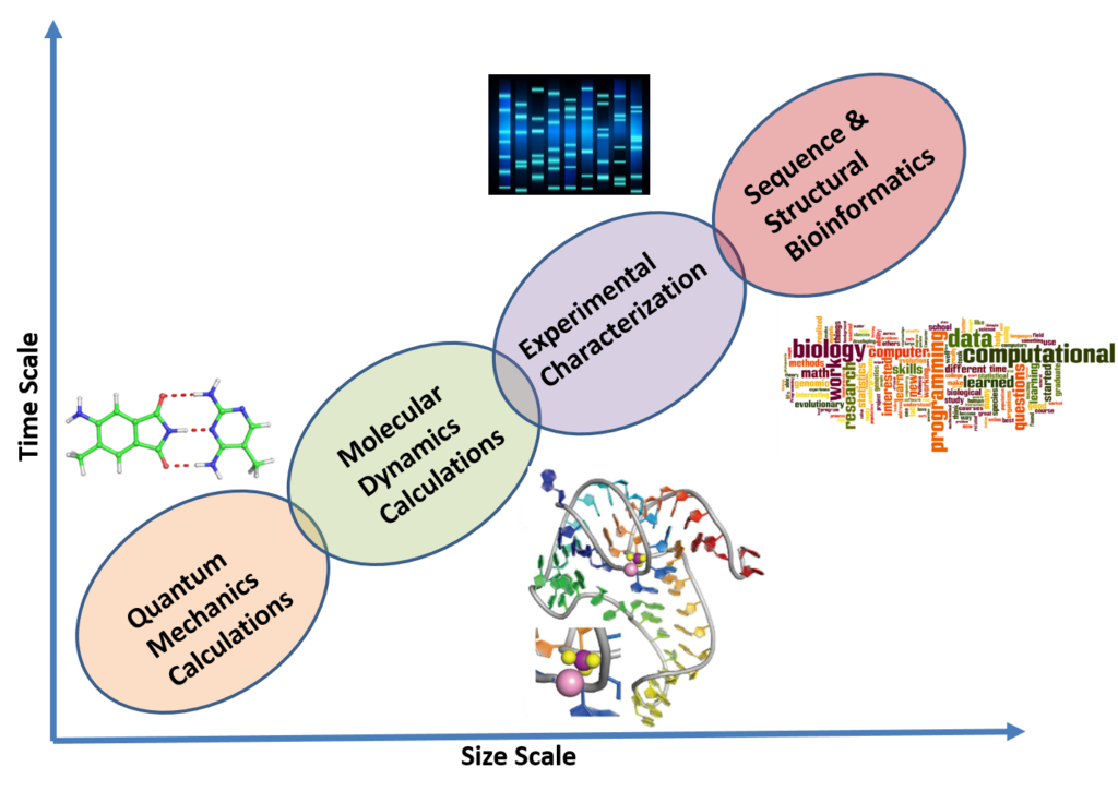 bioinformatics-RNA