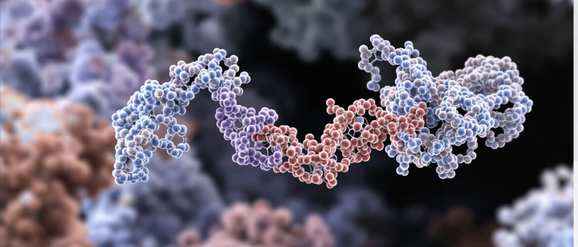 a protein and small ligand binding pose displayed in molecular docking software