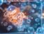 Protein-Ligand MD Simulation in GROMACS: A Step-by-Step Tutorial for Beginners