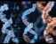 AlphaFold vs Homology Modelling vs Experimental Structures: Which to Use, When