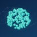 Biomolecular modeling: a computed protein model