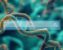 How to Do Blind Docking with AutoDock Vina When You Don't Know the Binding Site