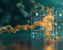 How to Convert Molecular File Formats with Open Babel (PDB to PDBQT, MOL2 and SDF): A Beginner's Guide