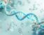 How to Choose a Protein Target and Ligands for a Molecular Docking Study (Step-by-Step)