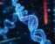 How to Prepare a Protein Structure for MD Simulation (Missing Residues, Hydrogens, Protonation)