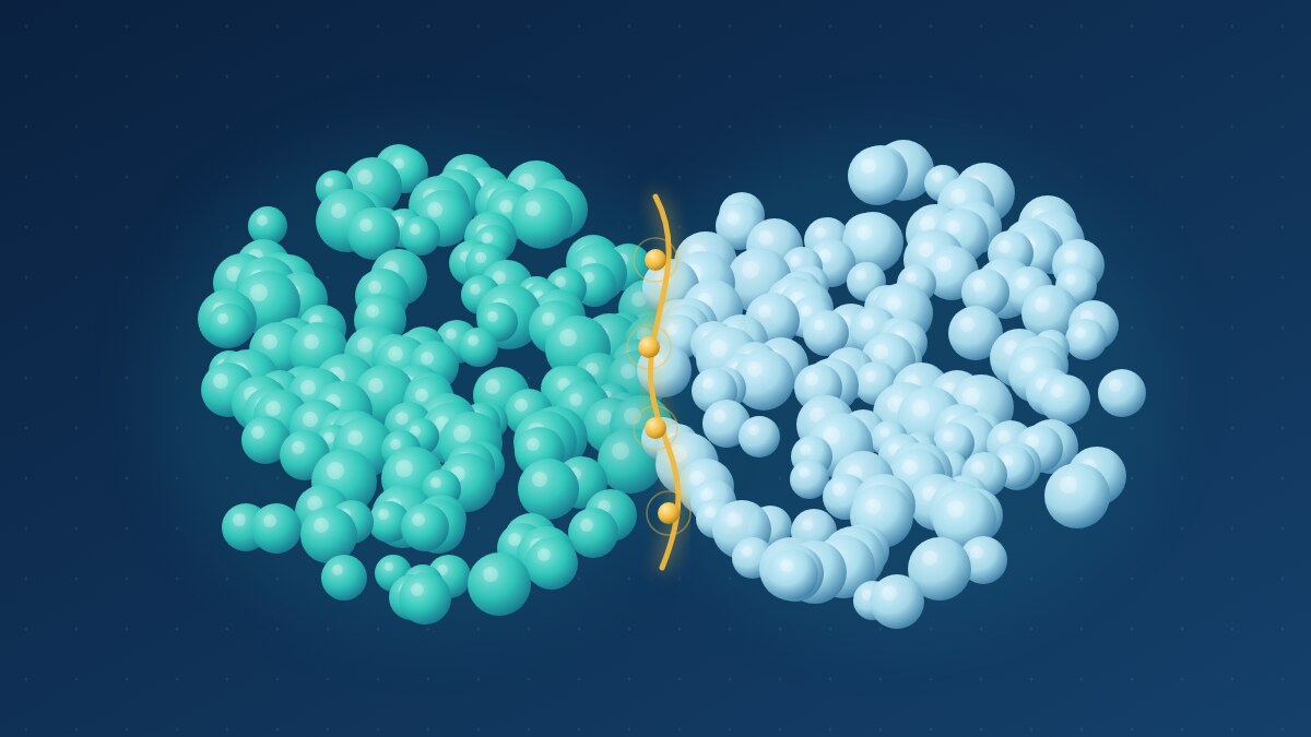Protein-Protein Modeling certification assessment