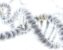 How to Make Publication-Quality Figures in PyMOL: Protein-Ligand Complexes, Step by Step