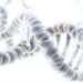 How to Make Publication-Quality Figures in PyMOL: Protein-Ligand Complexes, Step by Step