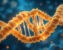 How to Dock a Multi-Epitope Vaccine Construct with TLR4: ClusPro, HDOCK and HADDOCK Compared
