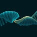 How to Fix Missing Residues and Loops in a PDB Structure Before Docking or MD (ChimeraX, SWISS-MODEL and MODELLER)