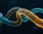 How to Design a Multi-Epitope Vaccine Construct: Linkers, Adjuvant and Order