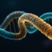 How to Design a Multi-Epitope Vaccine Construct: Linkers, Adjuvant and Order