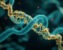How to Make a Point Mutation in a Protein Structure and Compare It with the Wild Type (PyMOL Mutagenesis + GROMACS)