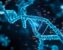 How to Predict T-Cell Epitopes and MHC Binding with NetMHCpan and IEDB