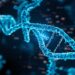 How to Predict T-Cell Epitopes and MHC Binding with NetMHCpan and IEDB