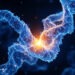 How to Predict the Effect of a Mutation on Protein Stability (DynaMut2, mCSM and DDMut): A Step-by-Step Guide