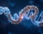 How to Do Protein-Protein Docking Online (ClusPro, HDOCK and HADDOCK): A Step-by-Step Guide for Beginners
