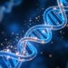 How to Codon Optimize a Vaccine Construct for E. coli Expression: Codon Usage, CAI and Restriction Sites