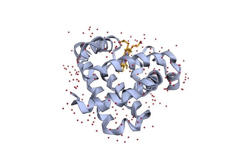 PDB 1A6M: myoglobin (1 chain, A) with ligand code SO4, heme (ligand code HEM), ligand code OXY and 186 crystallographic water molecules, at 1.00 Å resolution.