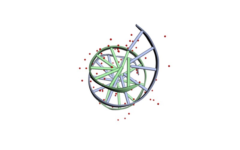 PDB 1BNA: DNA (5'-D(*CP*GP*CP*GP*AP*AP*TP*TP*CP*GP*CP*G)-3') (2 chains, A and B) with 80 crystallographic water molecules, at 1.90 Å resolution.