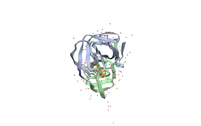 PDB 1HSG: HIV-1 protease (2 chains, A and B) with indinavir (ligand code MK1) and 127 crystallographic water molecules, at 2.00 Å resolution.