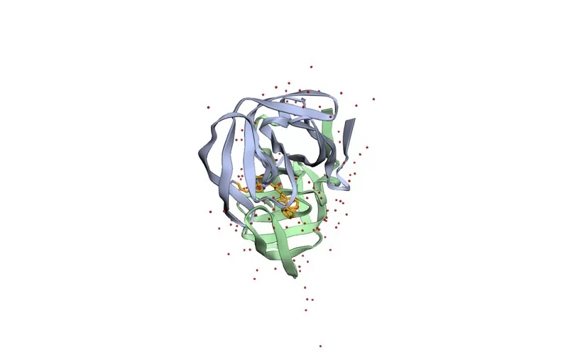 PDB 1HSG: HIV-1 protease (2 chains, A and B) with indinavir (ligand code MK1) and 127 crystallographic water molecules, at 2.00 Å resolution.