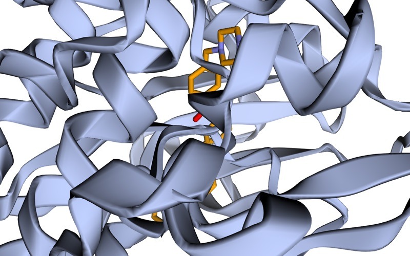 PDB 1IEP: PROTO-ONCOGENE TYROSINE-PROTEIN kinase abl (2 chains, A and B) with ligand code CL, STI-571 (ligand code STI) and 172 crystallographic water molecules, at 2.10 Å resolution.