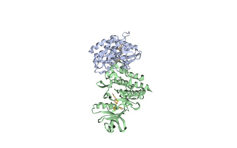 PDB 1IEP: PROTO-ONCOGENE TYROSINE-PROTEIN kinase abl (2 chains, A and B) with ligand code CL, STI-571 (ligand code STI) and 172 crystallographic water molecules, at 2.10 Å resolution.