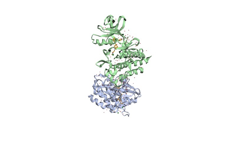 PDB 1IEP: PROTO-ONCOGENE TYROSINE-PROTEIN kinase abl (2 chains, A and B) with ligand code CL, STI-571 (ligand code STI) and 172 crystallographic water molecules, at 2.10 Å resolution.