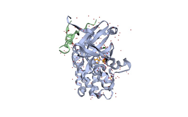PDB 1OL5: serine/threonine kinase 6 (2 chains, A and B) with phosphonothreonine (ligand code TPO), ligand code ADP, ligand code MG, ligand code SO4 and 144 crystallographic water molecules, at 2.50 Å resolution.