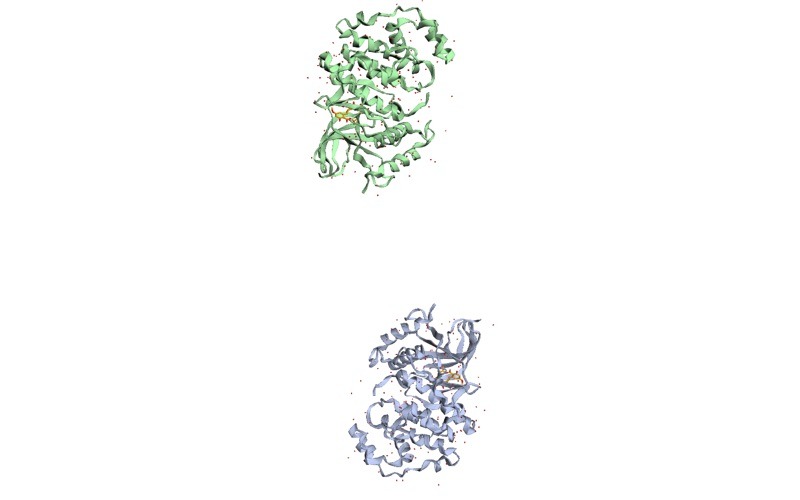 PDB 3C9W: MITOGEN-ACTIVATED protein kinase 1 (2 chains, A and B) with hypothemycin (ligand code HMY) and 257 crystallographic water molecules, at 2.50 Å resolution.