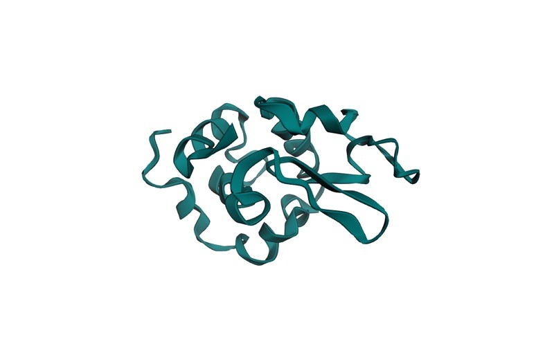PDB 3HFM: HYHEL-10 IGG1 fab (light chain) (3 chains, H, L and Y) with 1 crystallographic water molecule, at 3.00 Å resolution.