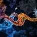 How to Dock a Ligand into an AlphaFold Model, Step by Step