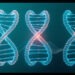 PyMOL vs VMD vs ChimeraX: Which Should You Learn?